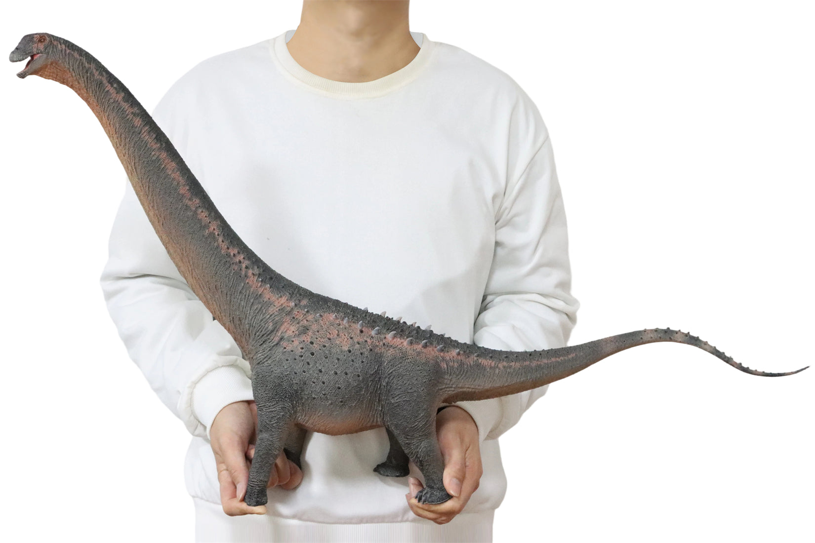 HAOLONGGOOD 1:35 Scale Argentinosaurus Model