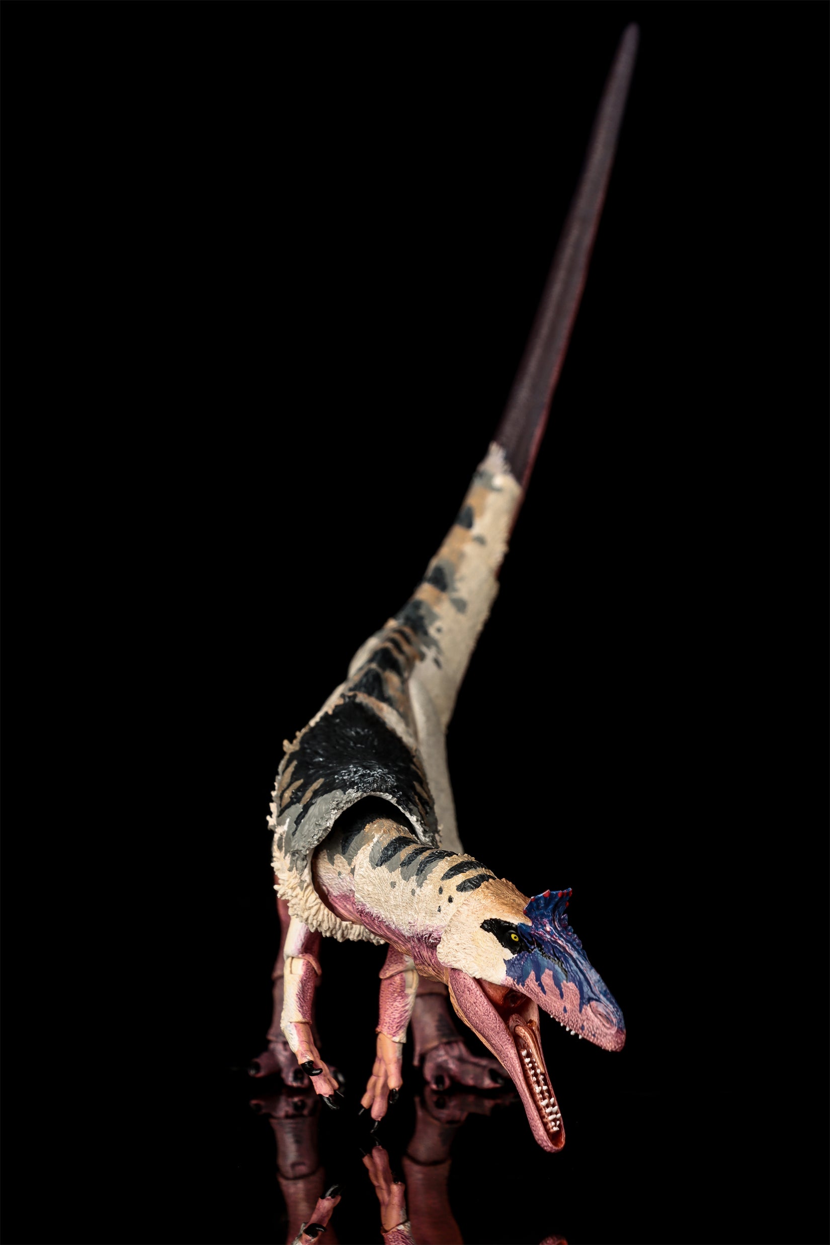 Beasts of the Mesozoic Cryolophosaurus ellioti – 1/18th scale action figure