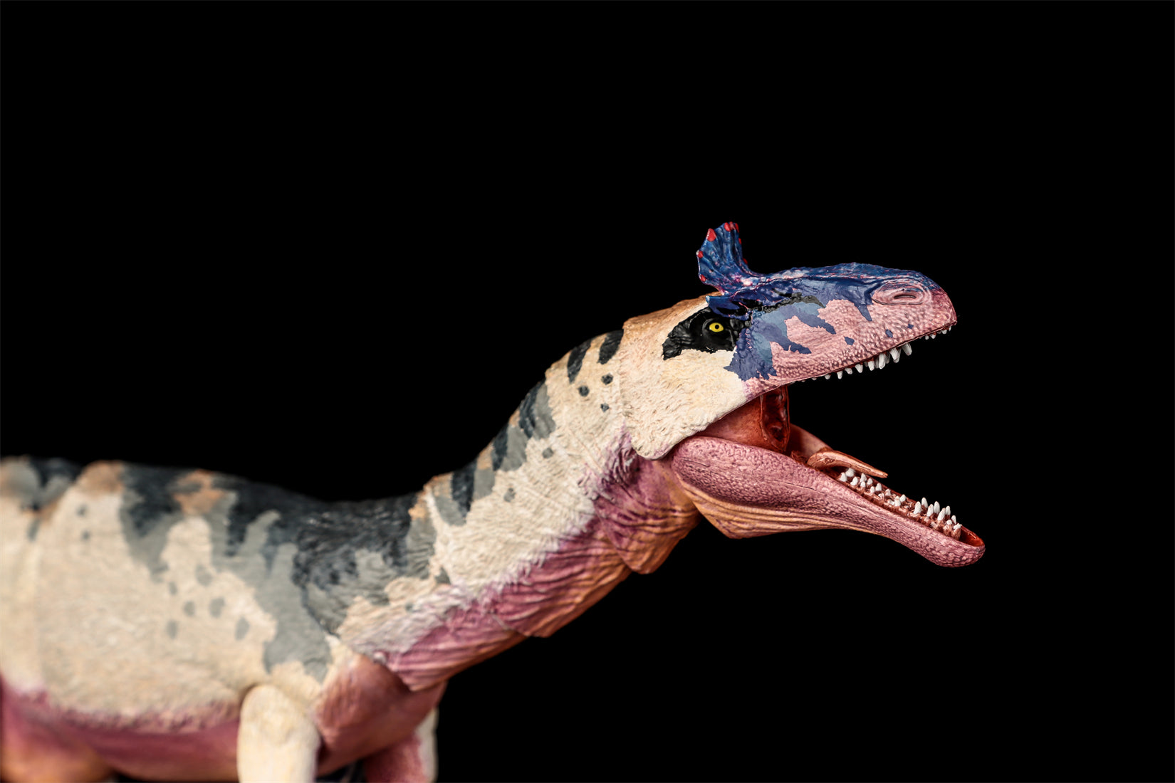 Beasts of the Mesozoic Cryolophosaurus ellioti – 1/18th scale action figure