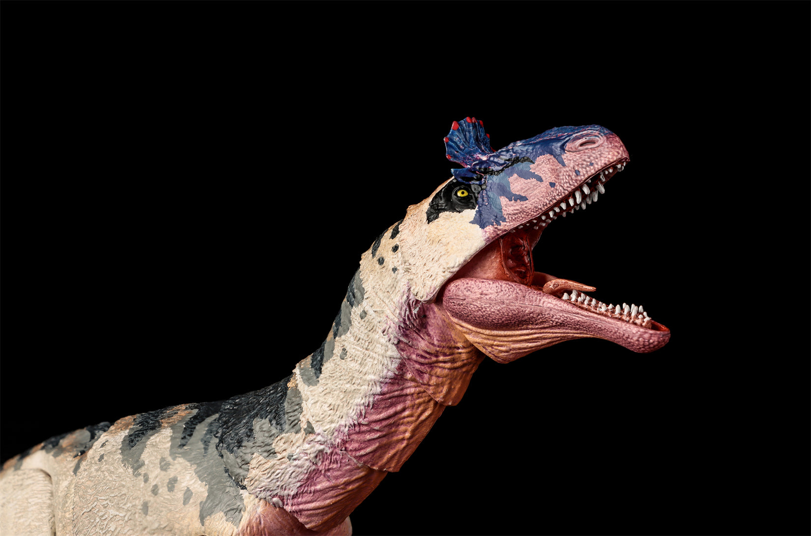 Beasts of the Mesozoic Cryolophosaurus ellioti – 1/18th scale action figure