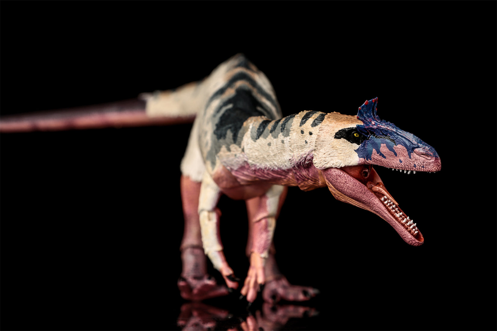 Beasts of the Mesozoic Cryolophosaurus ellioti – 1/18th scale action figure