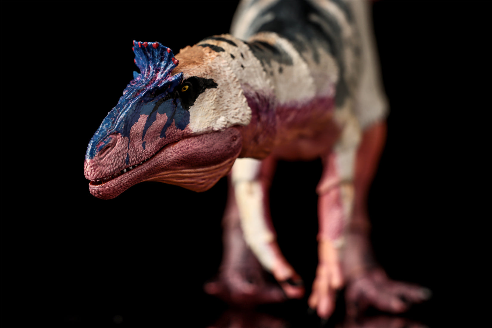 Beasts of the Mesozoic Cryolophosaurus ellioti – 1/18th scale action figure