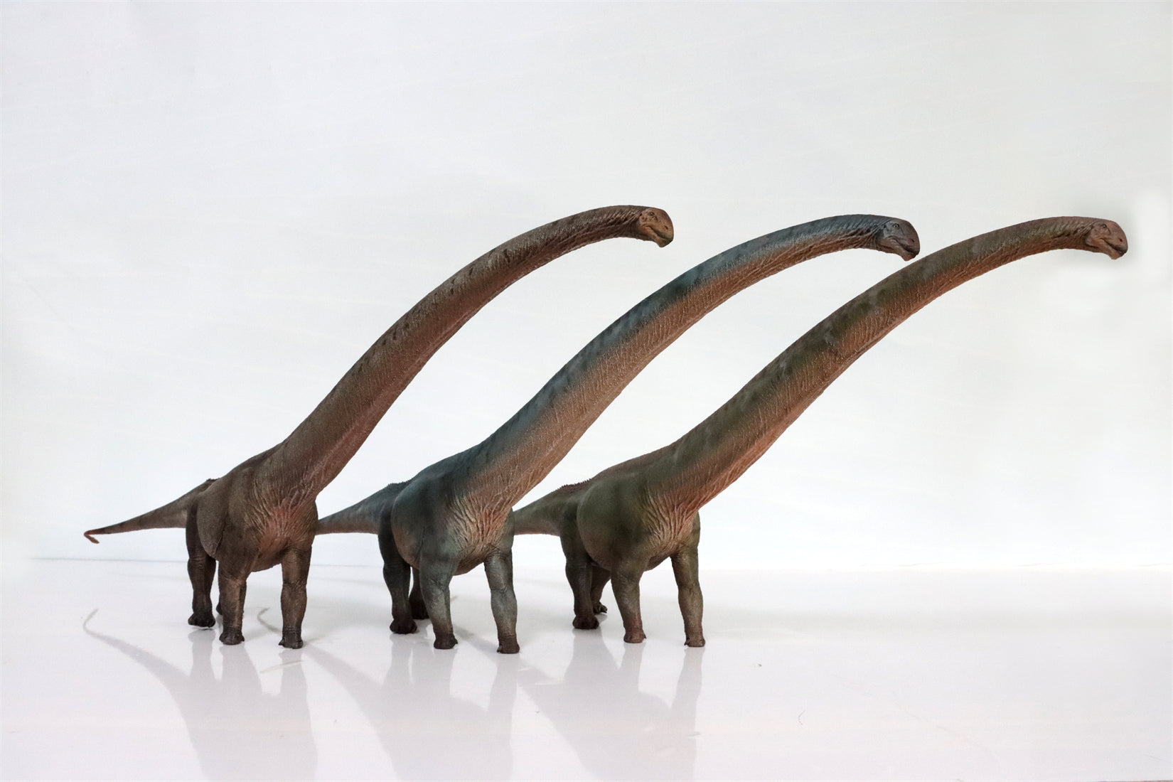 HAOLONGGOOD 1:35 Scale Mamenchisaurus Model