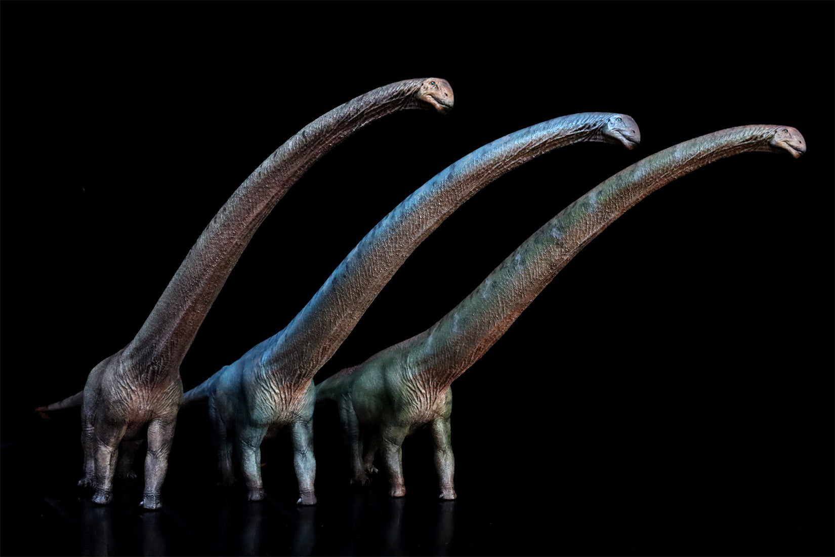 HAOLONGGOOD 1:35 Scale Mamenchisaurus Model