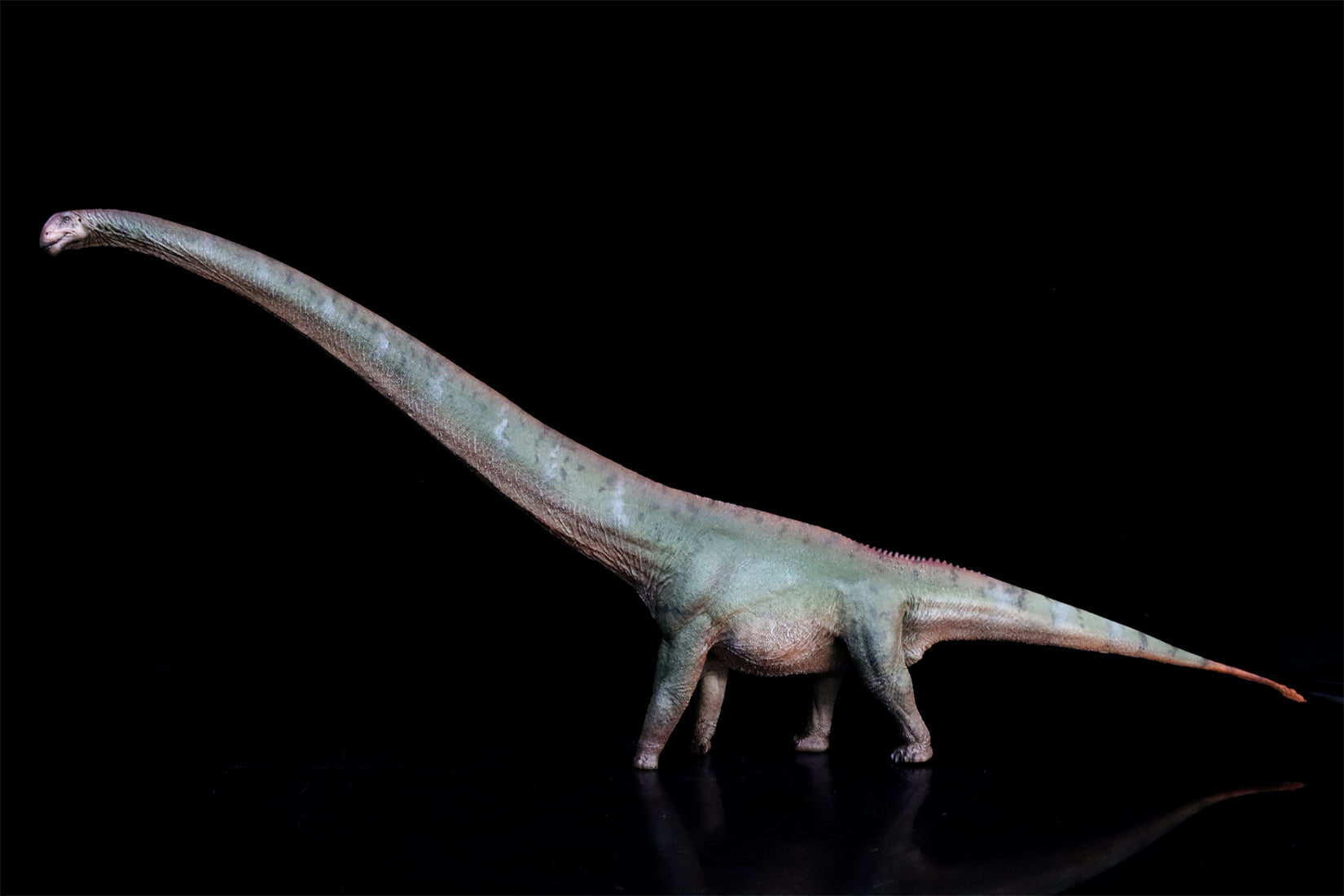 HAOLONGGOOD 1:35 Scale Mamenchisaurus Model
