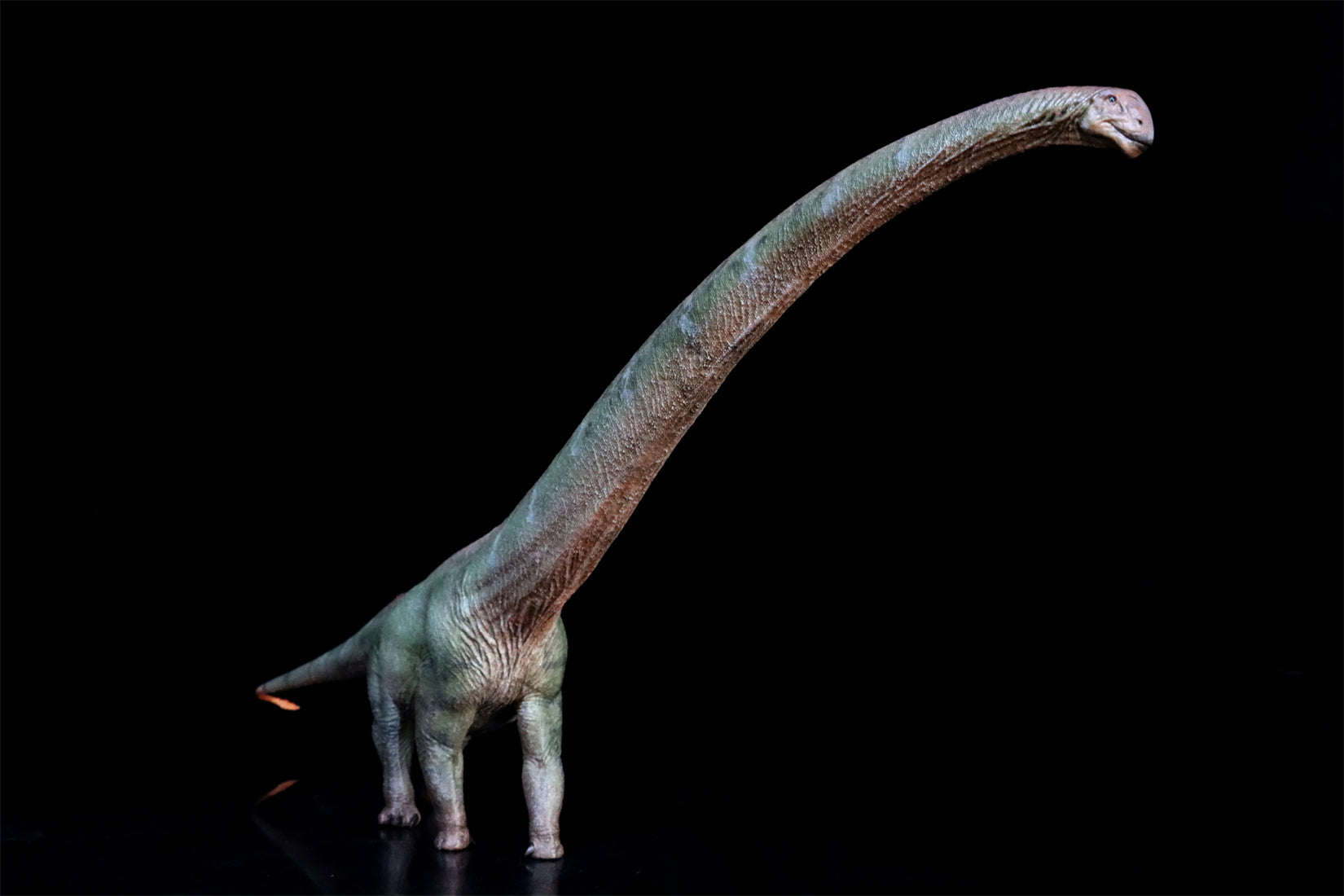 HAOLONGGOOD 1:35 Scale Mamenchisaurus Model