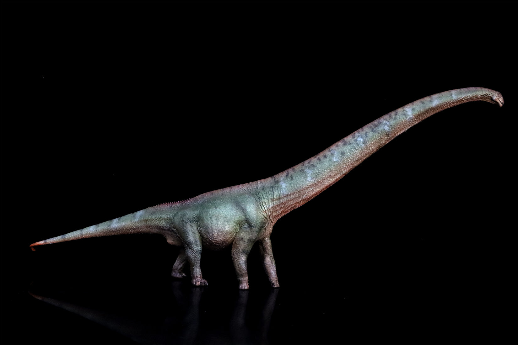 HAOLONGGOOD 1:35 Scale Mamenchisaurus Model