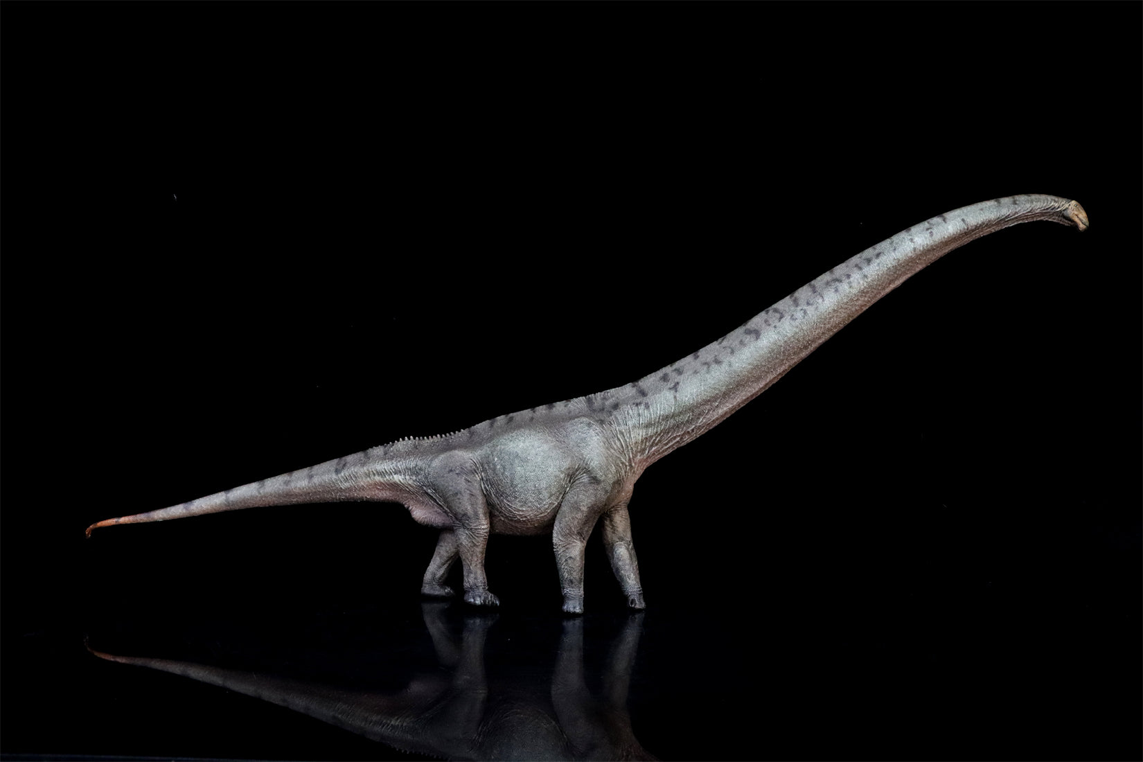 HAOLONGGOOD 1:35 Scale Mamenchisaurus Model