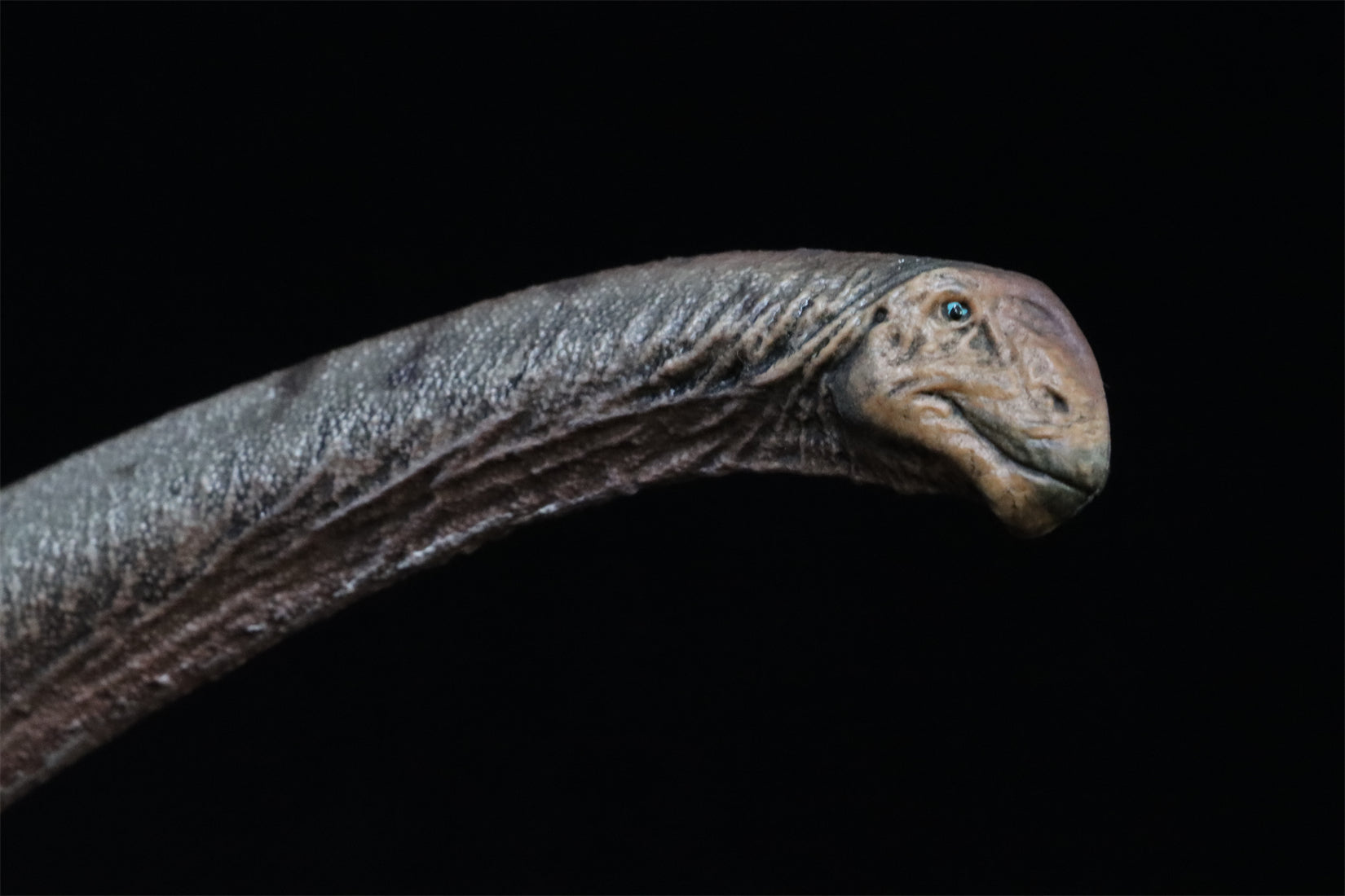HAOLONGGOOD 1:35 Scale Mamenchisaurus Model