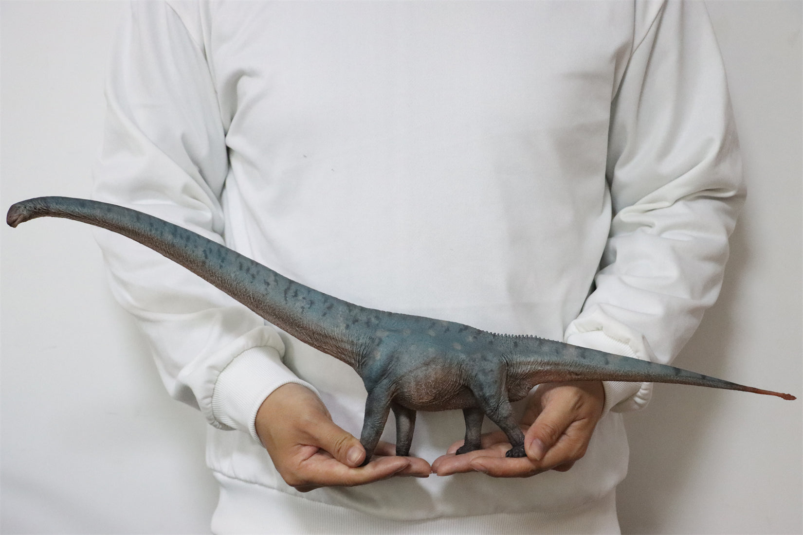 HAOLONGGOOD 1:35 Scale Mamenchisaurus Model