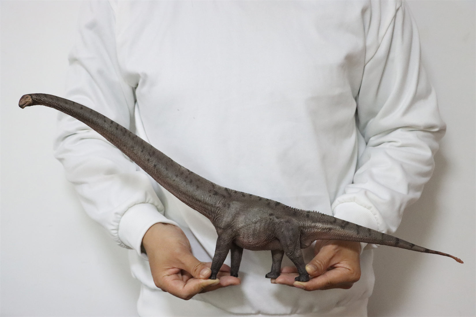 HAOLONGGOOD 1:35 Scale Mamenchisaurus Model