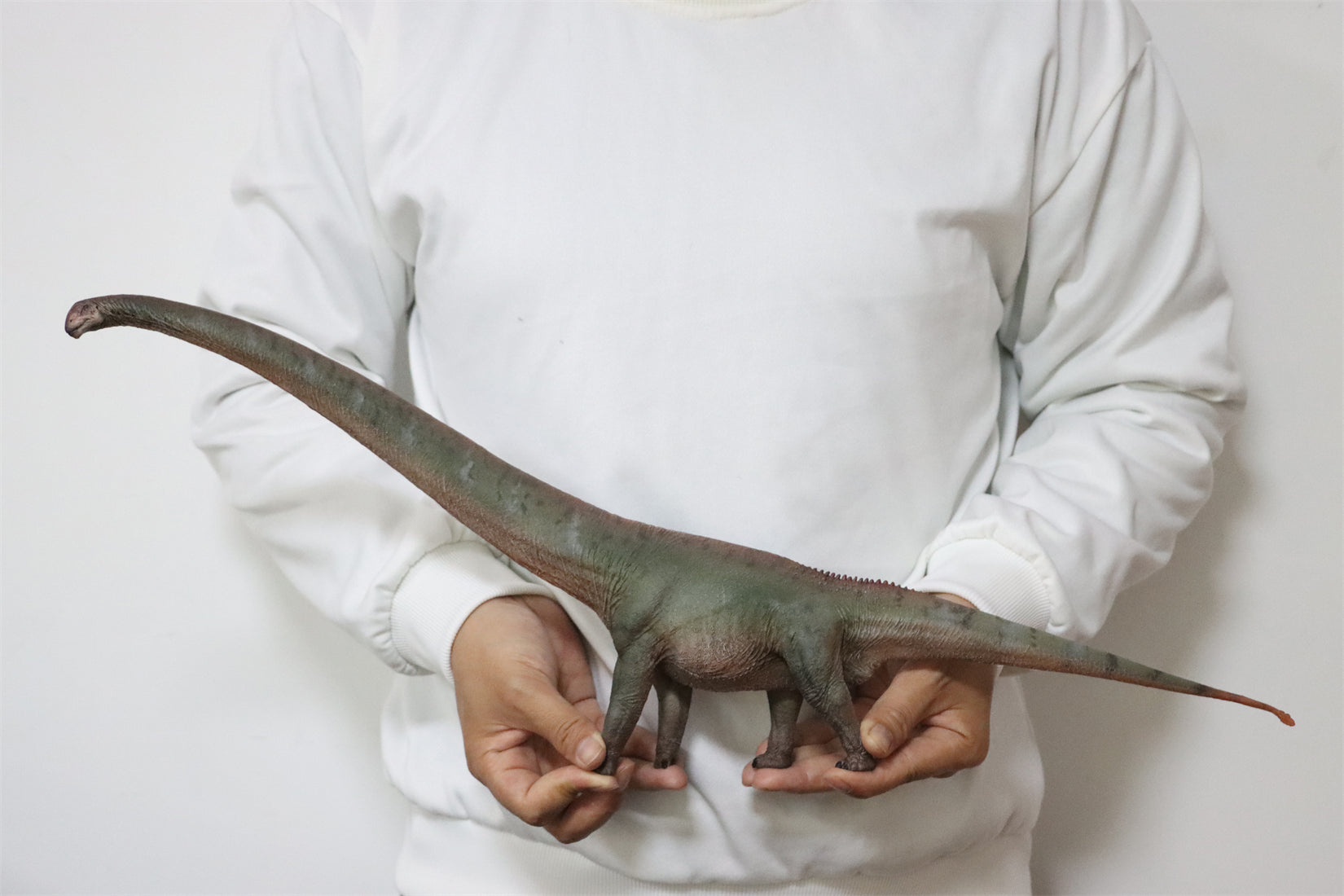 HAOLONGGOOD 1:35 Scale Mamenchisaurus Model