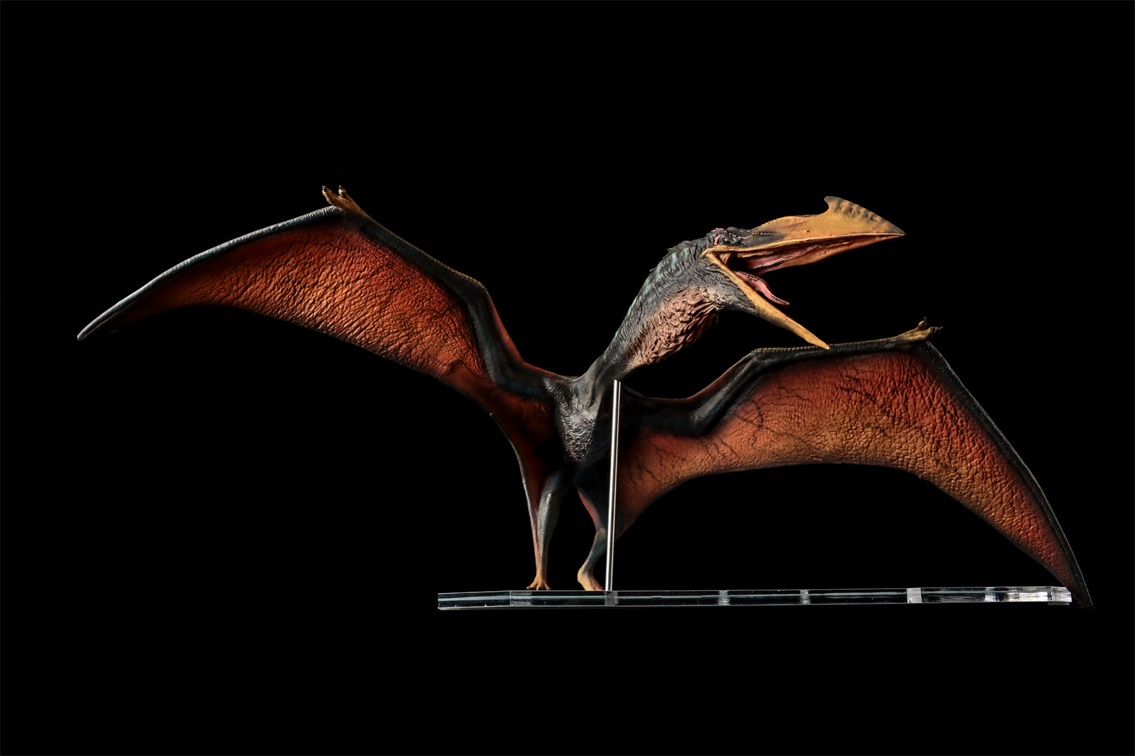 DINO DREAM 1:30 Scale Quetzalcoatlus Model