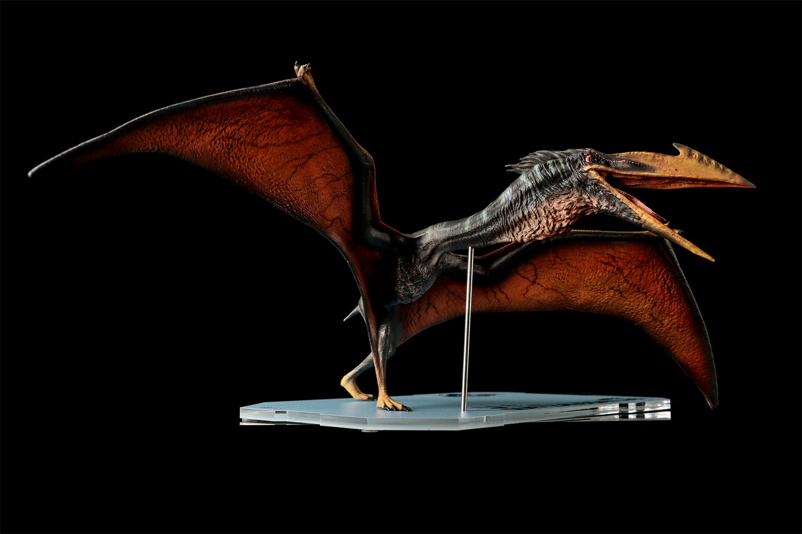 DINO DREAM 1:30 Scale Quetzalcoatlus Model