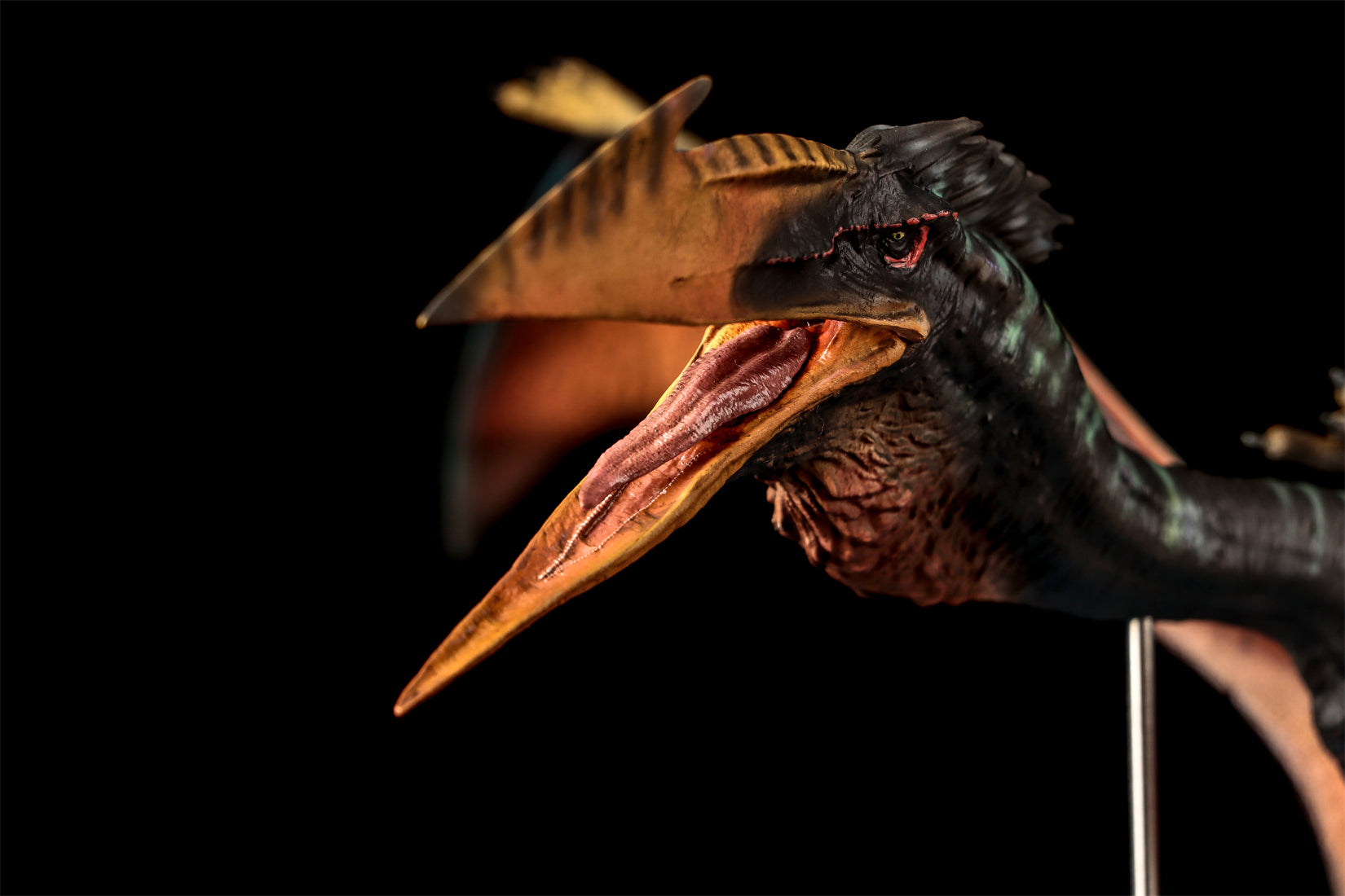 DINO DREAM 1:30 Scale Quetzalcoatlus Model