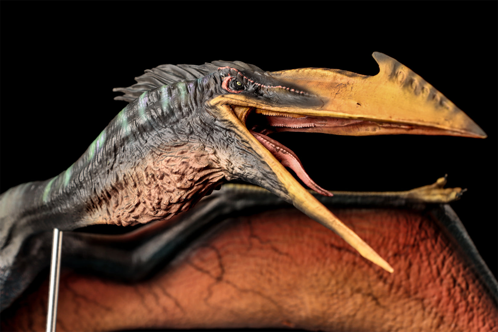 DINO DREAM 1:30 Scale Quetzalcoatlus Model