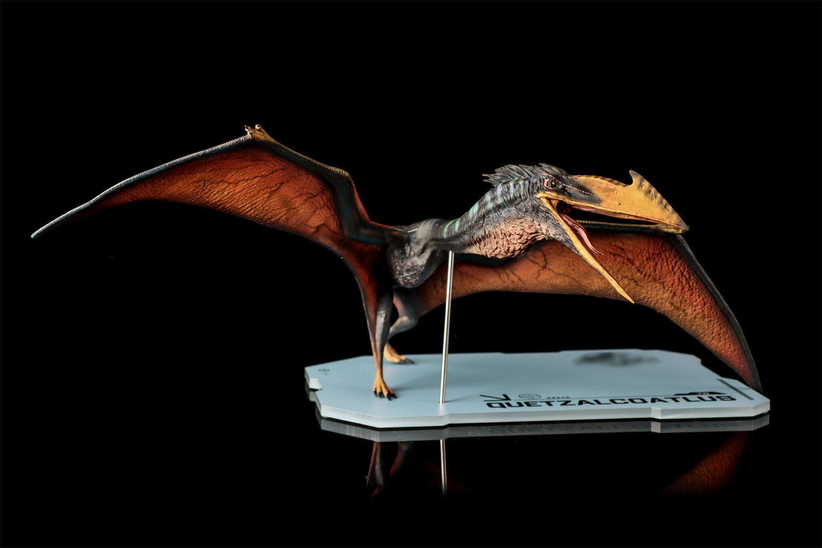 DINO DREAM 1:30 Scale Quetzalcoatlus Model