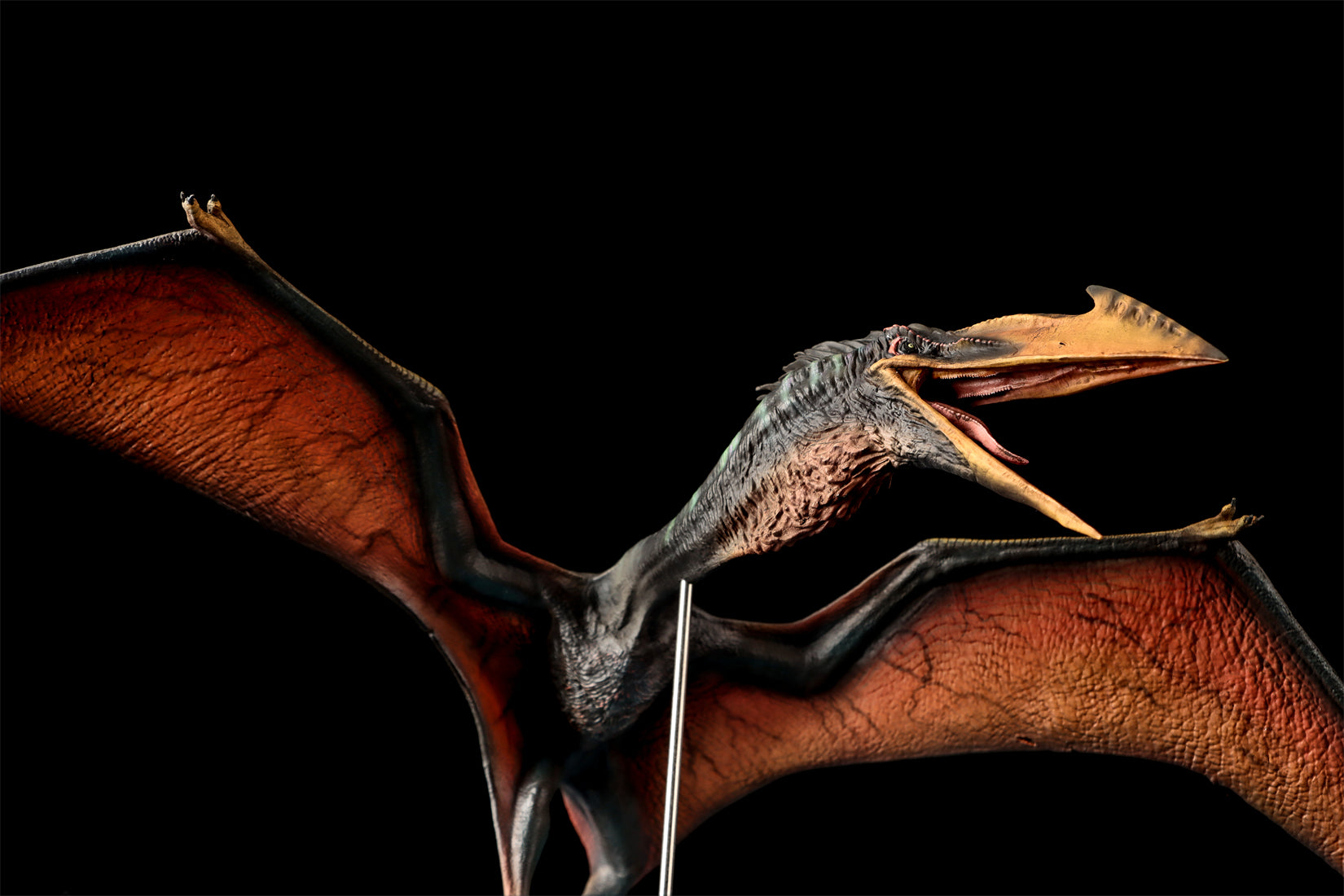DINO DREAM 1:30 Scale Quetzalcoatlus Model