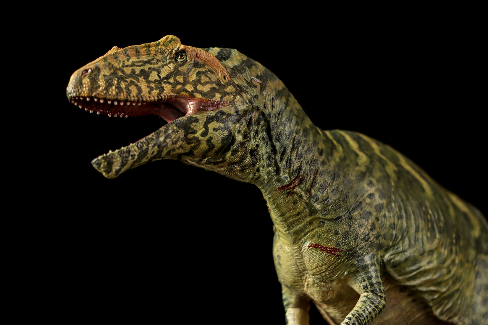 LANATIMESHOP 1/35 Scale Tameryraptor markgrafi Samira Model