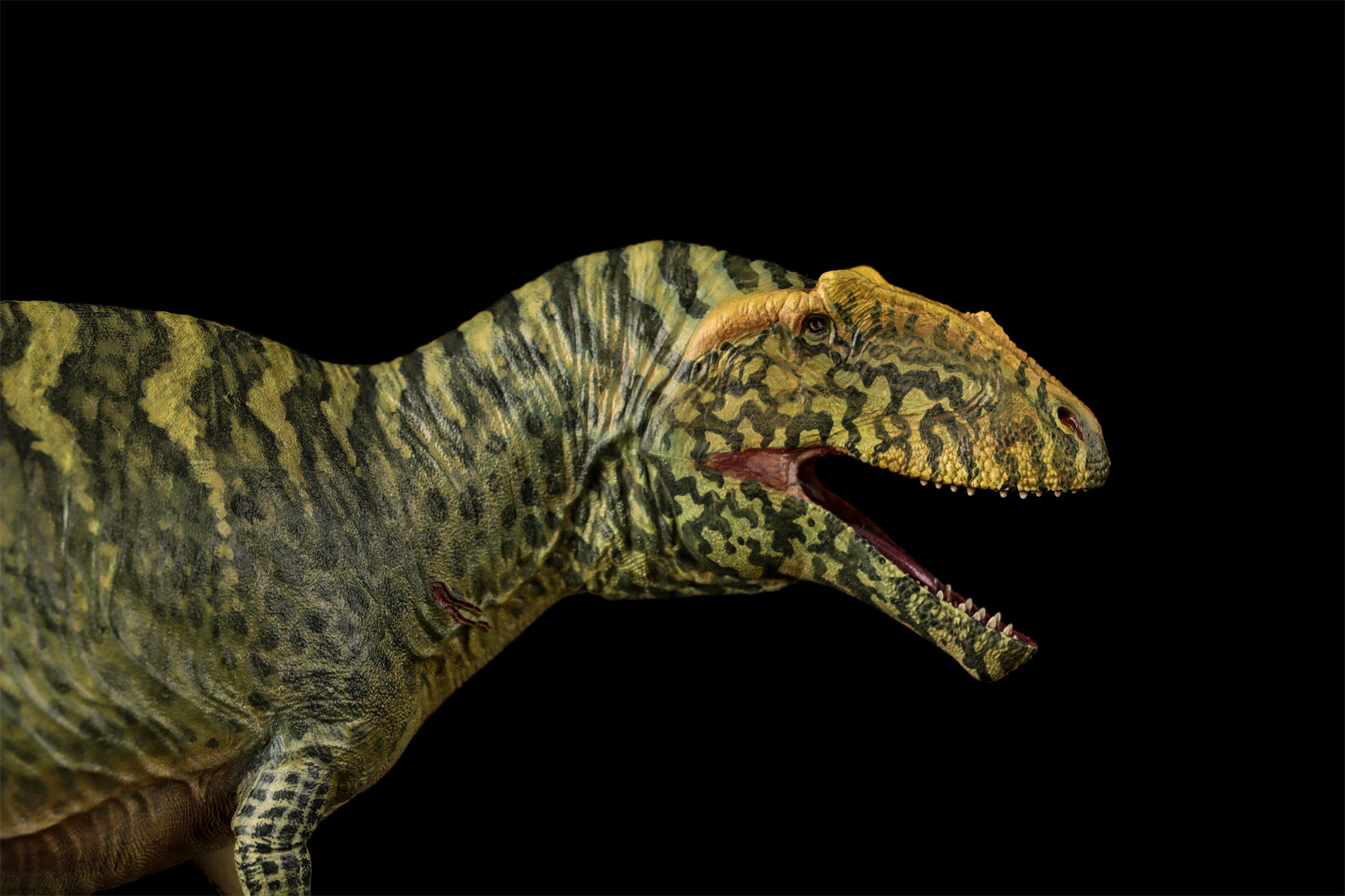 LANATIMESHOP 1/35 Scale Tameryraptor markgrafi Samira Model