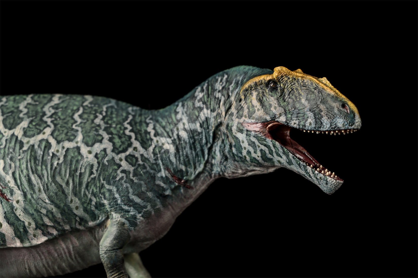 LANATIMESHOP 1/35 Scale Tameryraptor markgrafi Samira Model