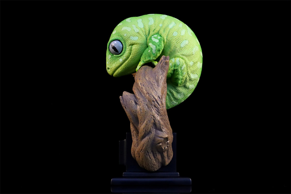 Wall lizard Plus Limited Model