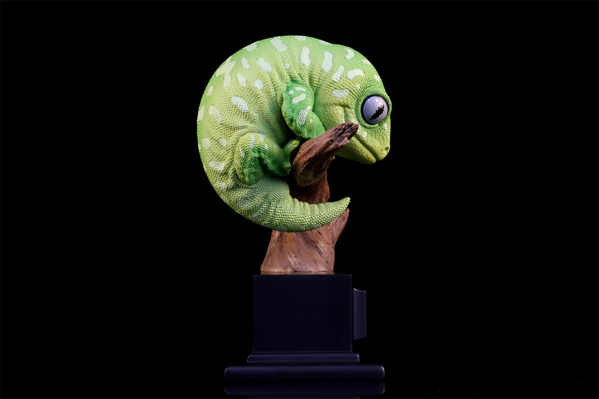 Wall lizard Plus Limited Model