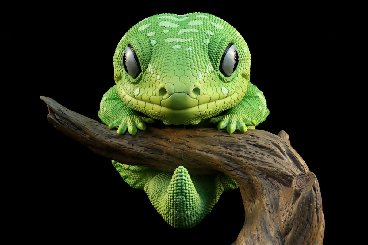 Wall lizard Plus Limited Model