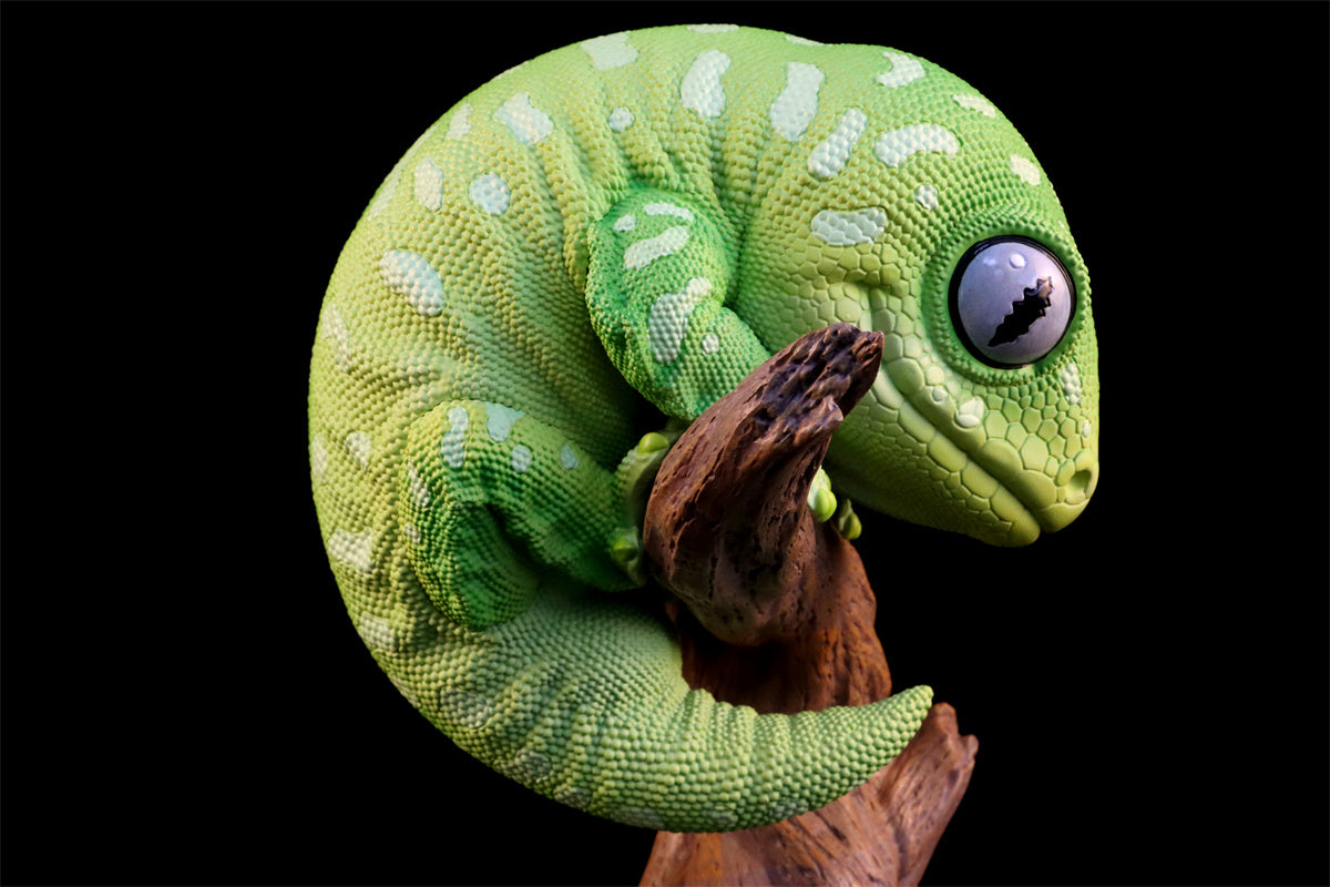 Wall lizard Plus Limited Model