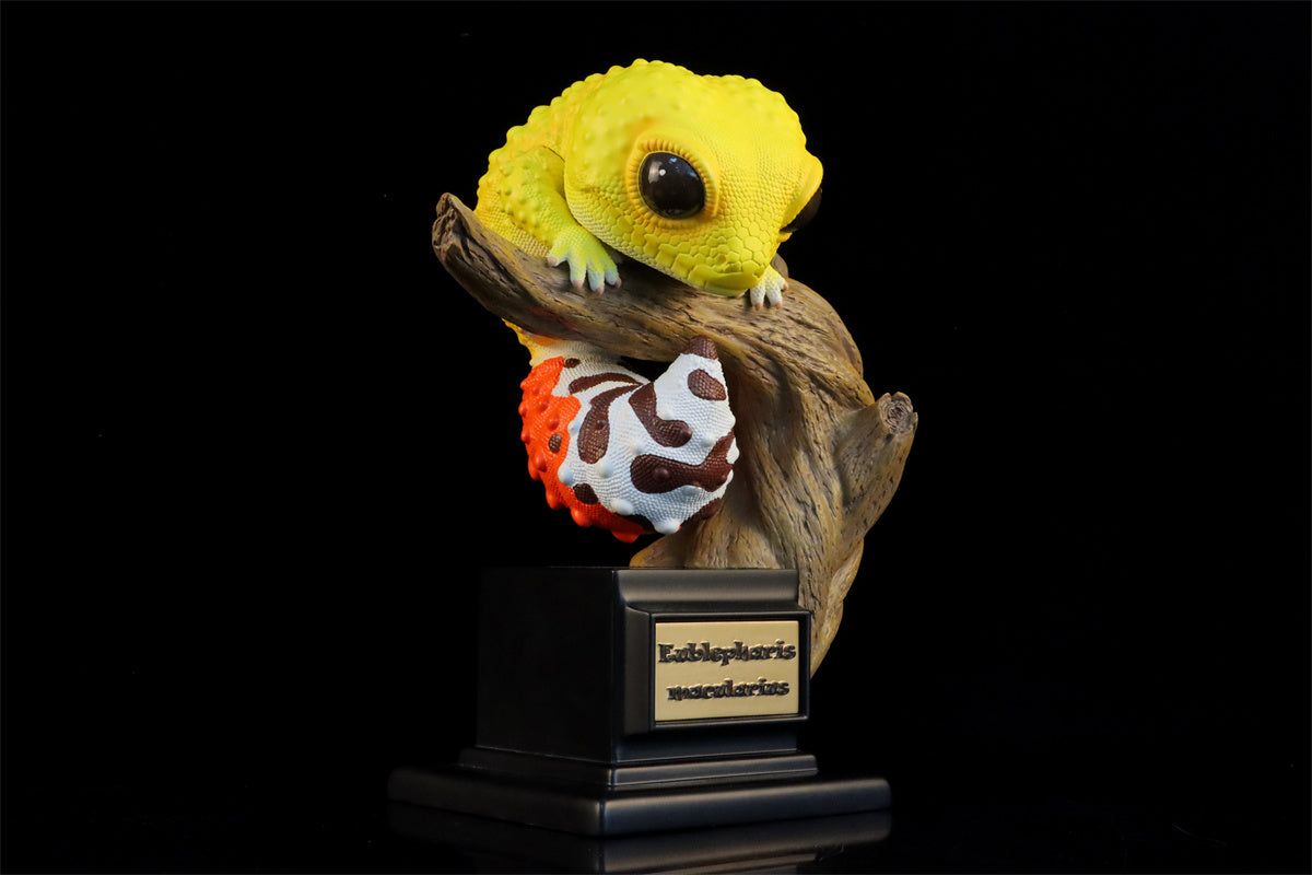 Wall lizard Plus Limited Model