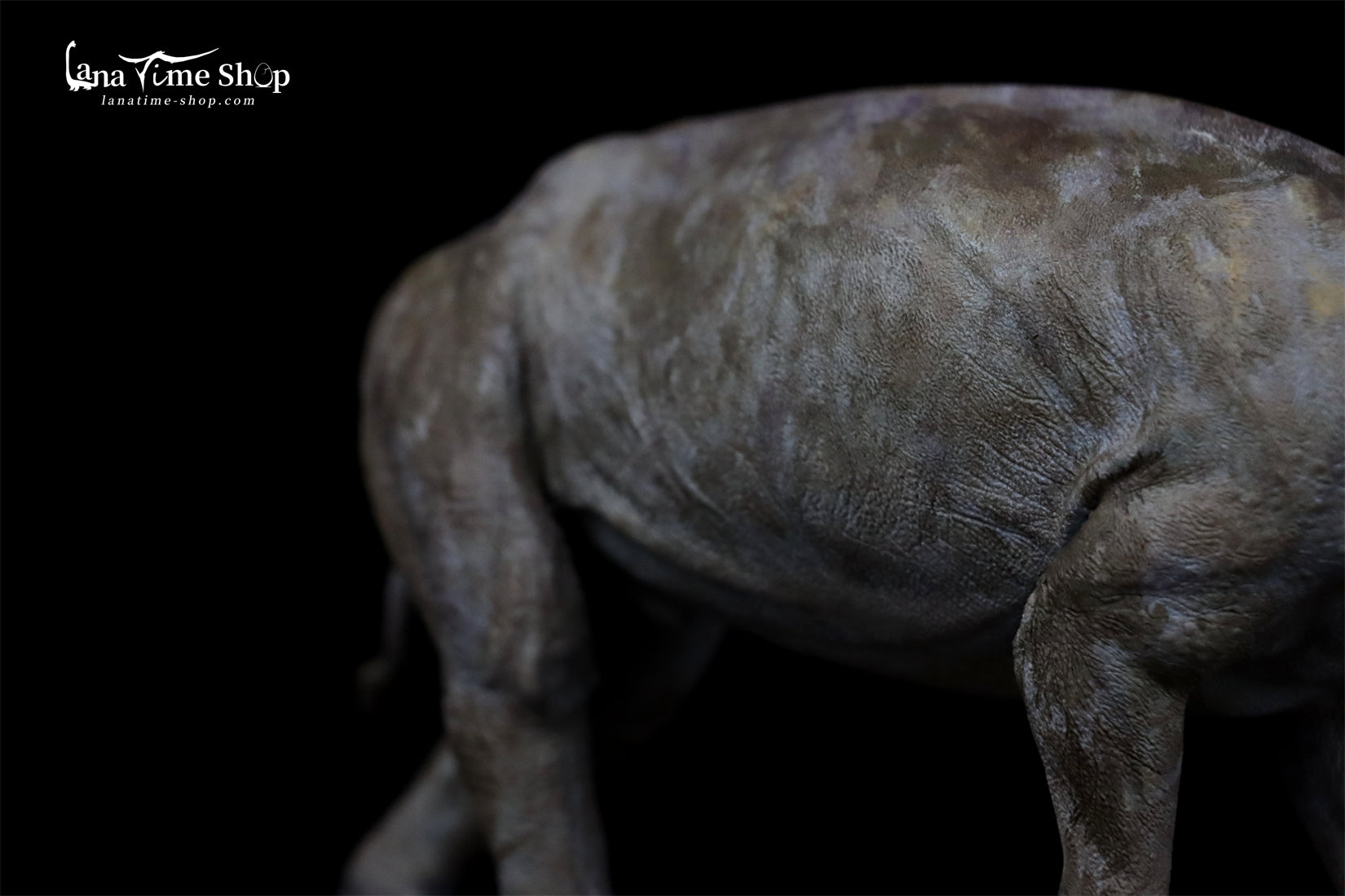 LANATIMESHOP Uintatherium Hank Model