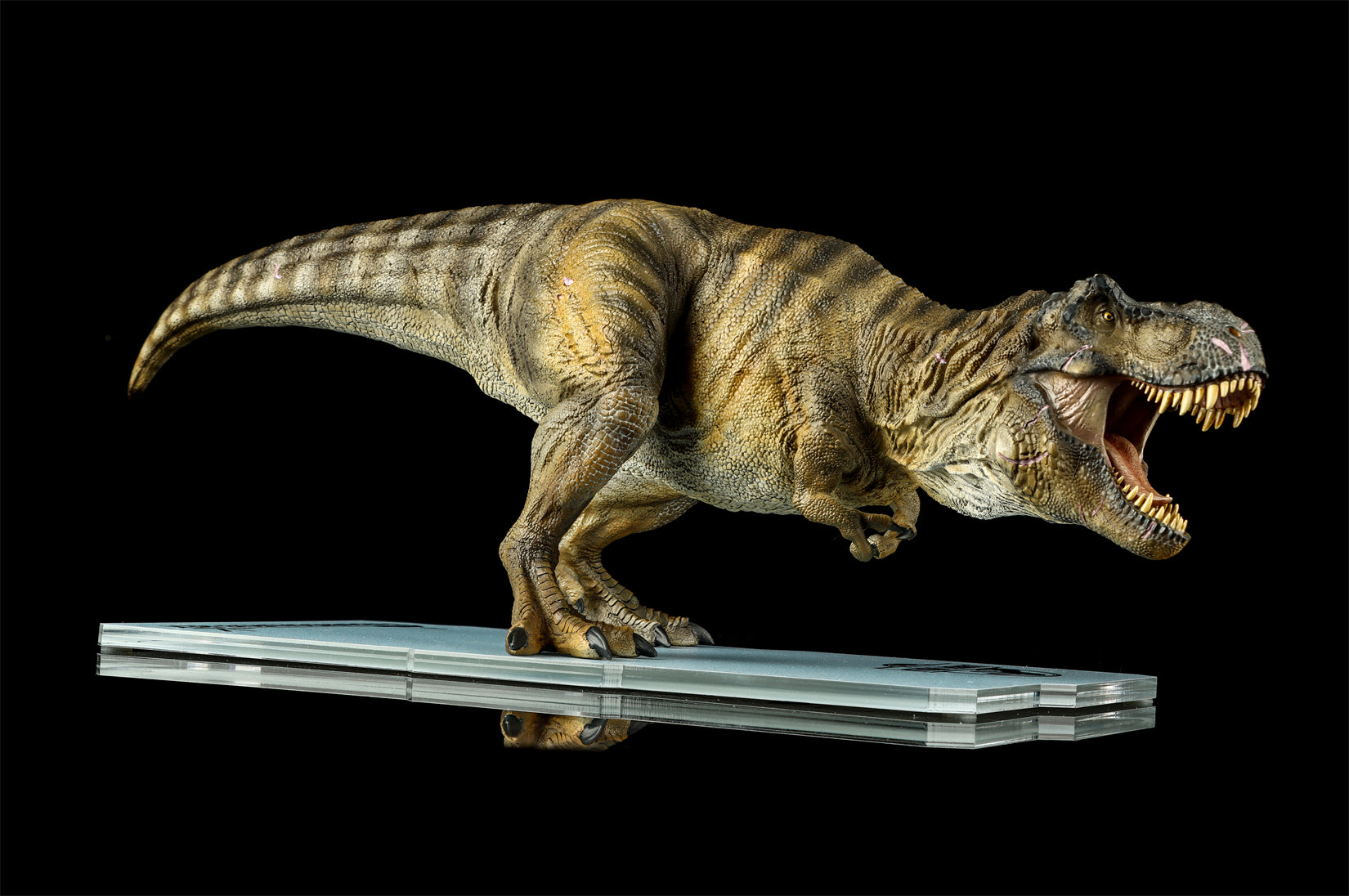 DINO DREAM 1:30 Scale JW4 Tyrannosaurus Rex Model