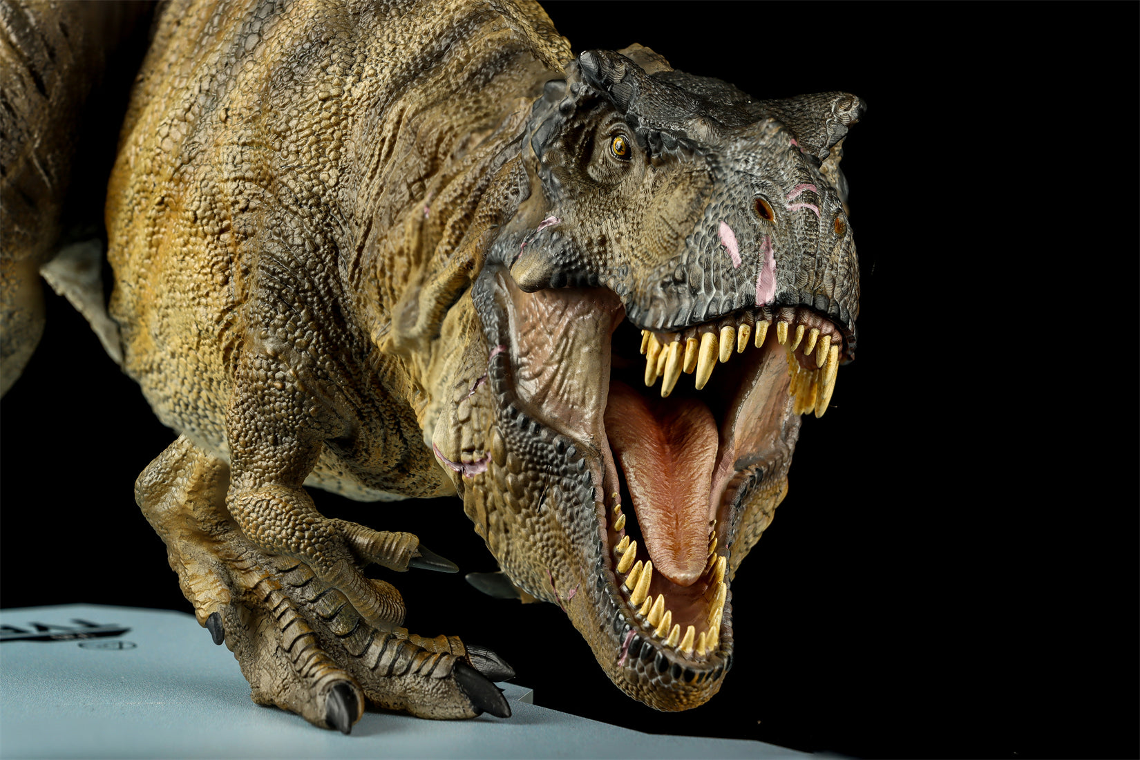 DINO DREAM 1:30 Scale JW4 Tyrannosaurus Rex Model
