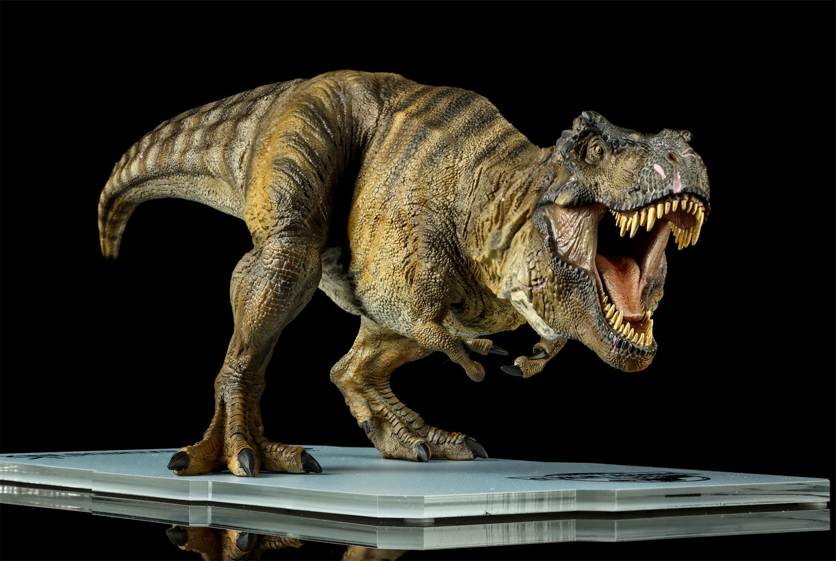 DINO DREAM 1:30 Scale JW4 Tyrannosaurus Rex Model