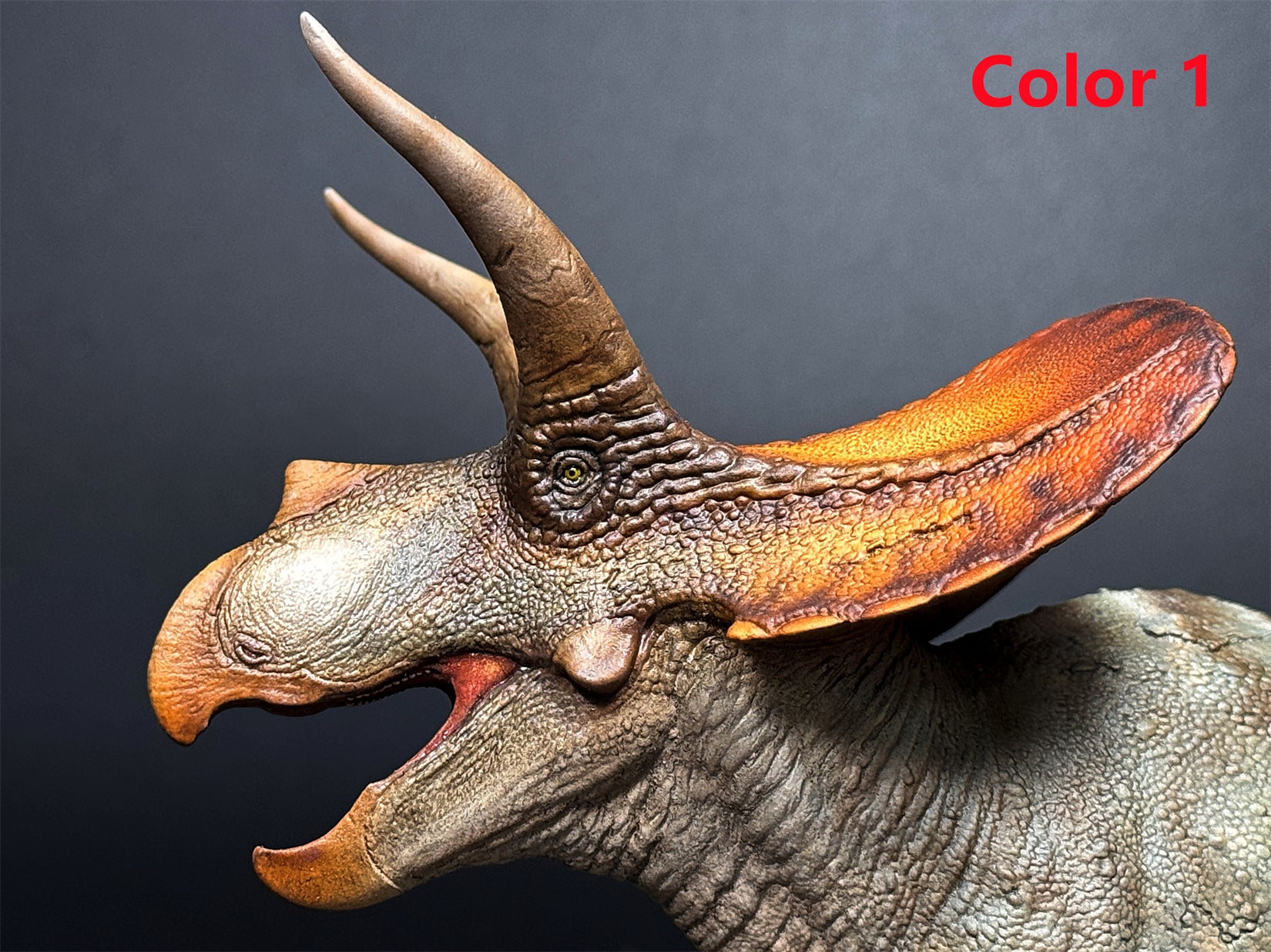De CLAY Studio Torosaurus latus 2.0 Model