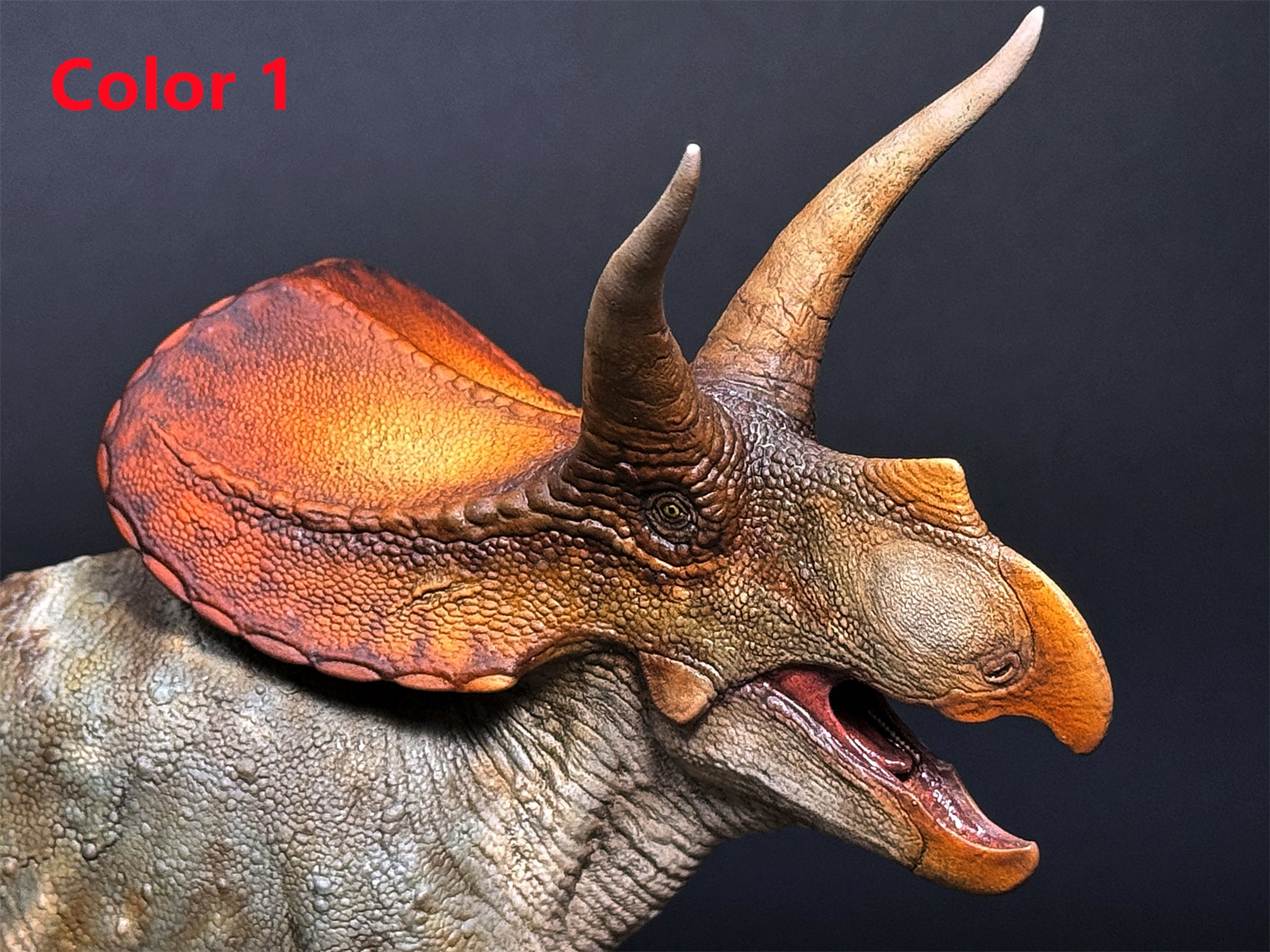 De CLAY Studio Torosaurus latus 2.0 Model