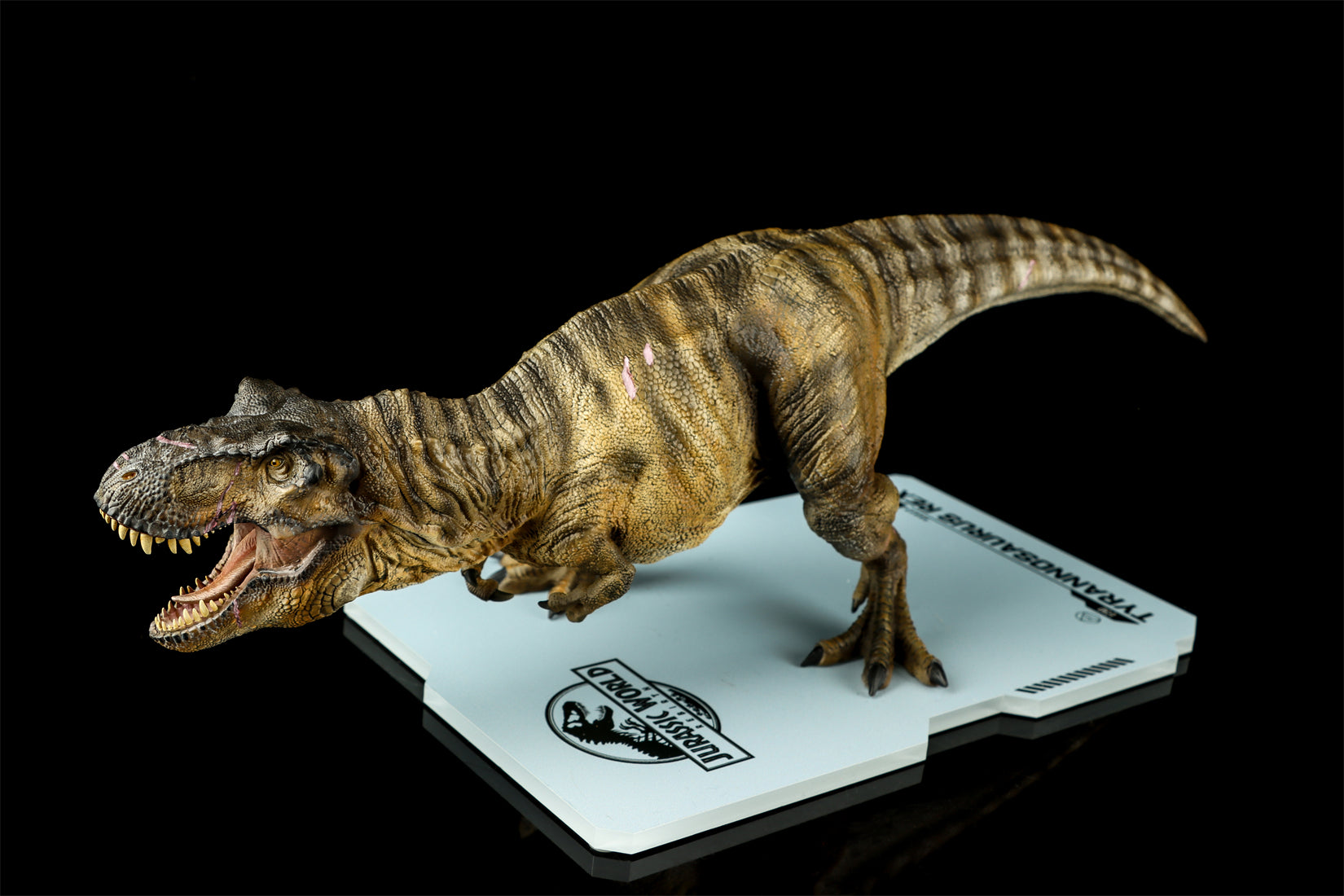 DINO DREAM 1:30 Scale JW4 Tyrannosaurus Rex Model