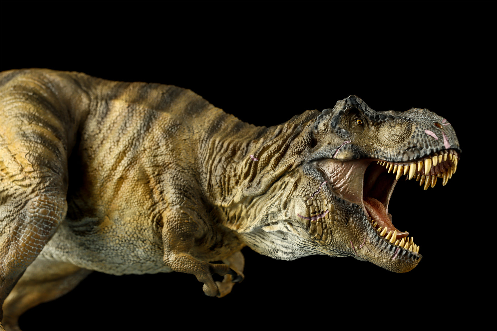 DINO DREAM 1:30 Scale JW4 Tyrannosaurus Rex Model