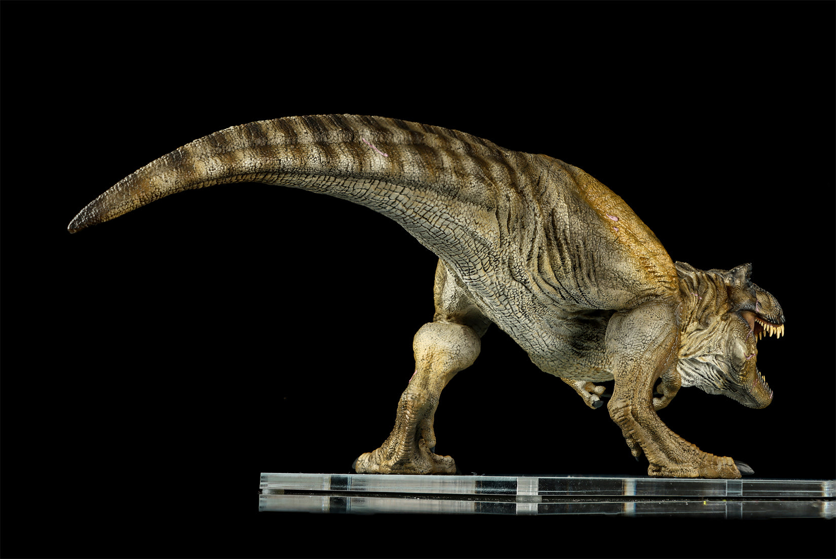DINO DREAM 1:30 Scale JW4 Tyrannosaurus Rex Model