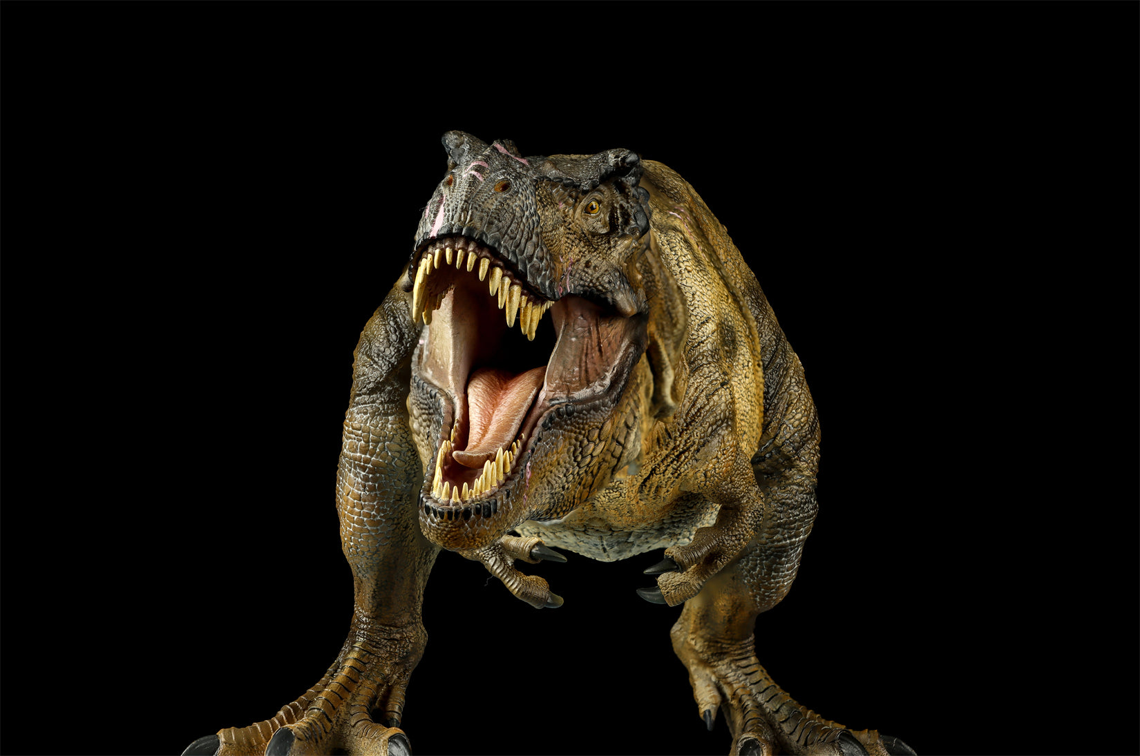 DINO DREAM 1:30 Scale JW4 Tyrannosaurus Rex Model