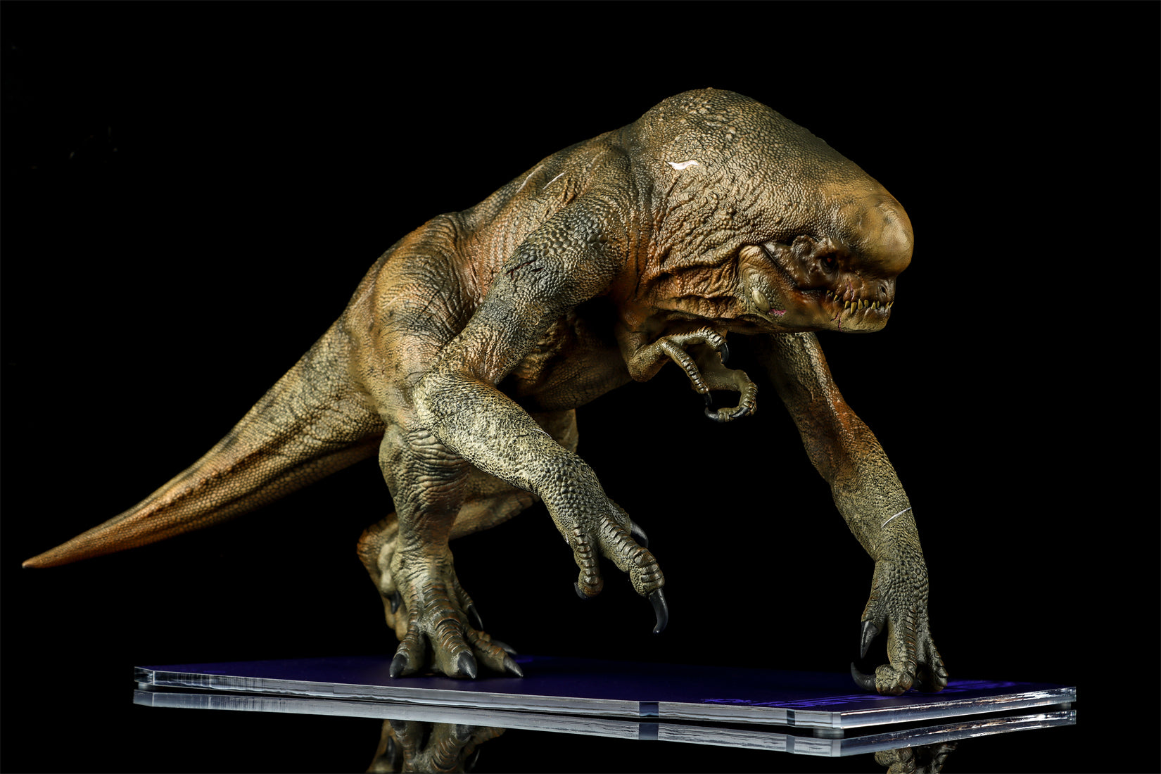 DINO DREAM 1:30 Scale Distortus Rex Model