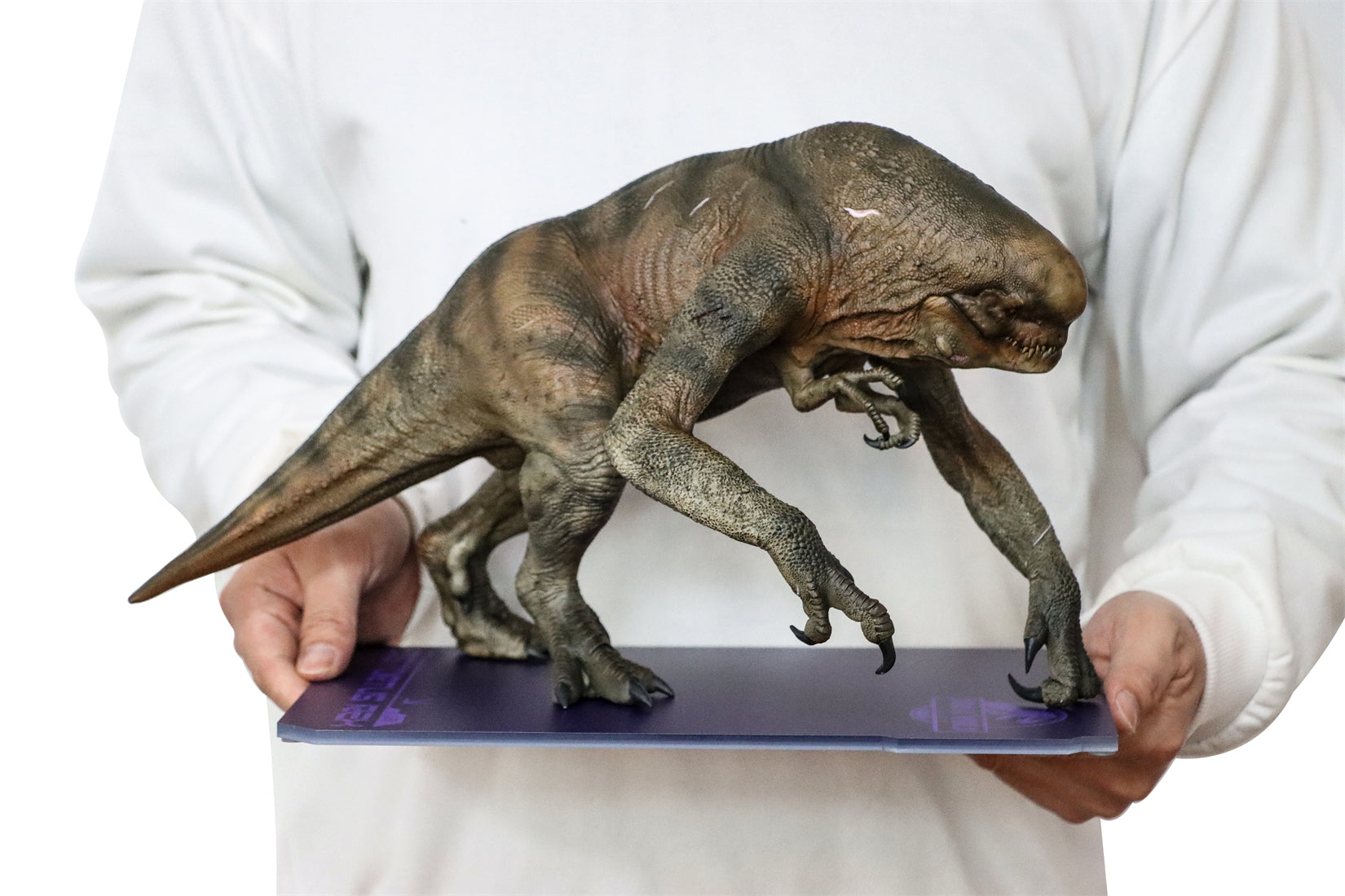 DINO DREAM 1:30 Scale Distortus Rex Model