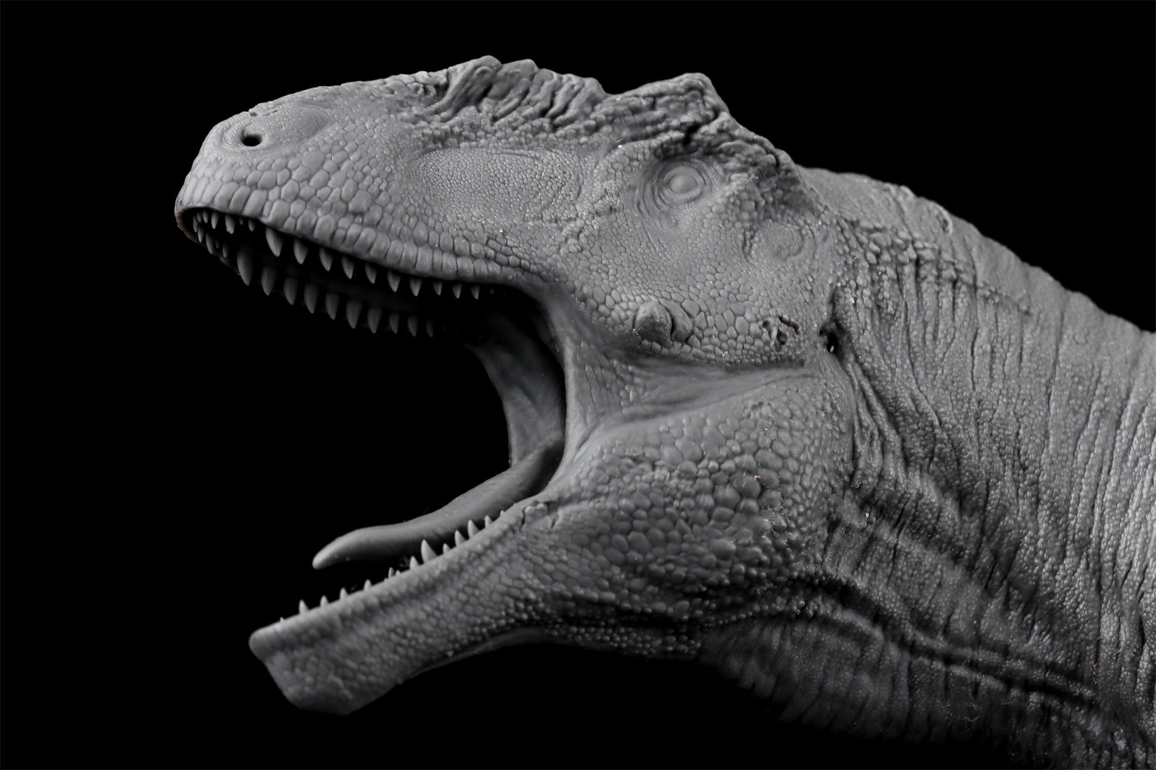Anningpale 1/35 Scale Tyrannotitan chubutensis Model