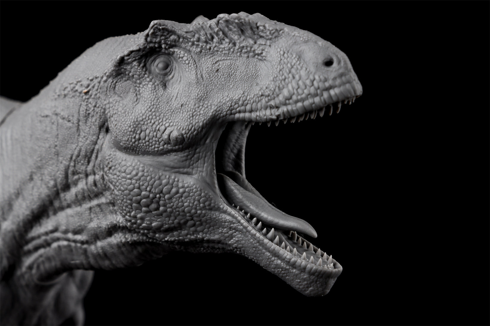 Anningpale 1/35 Scale Tyrannotitan chubutensis Model