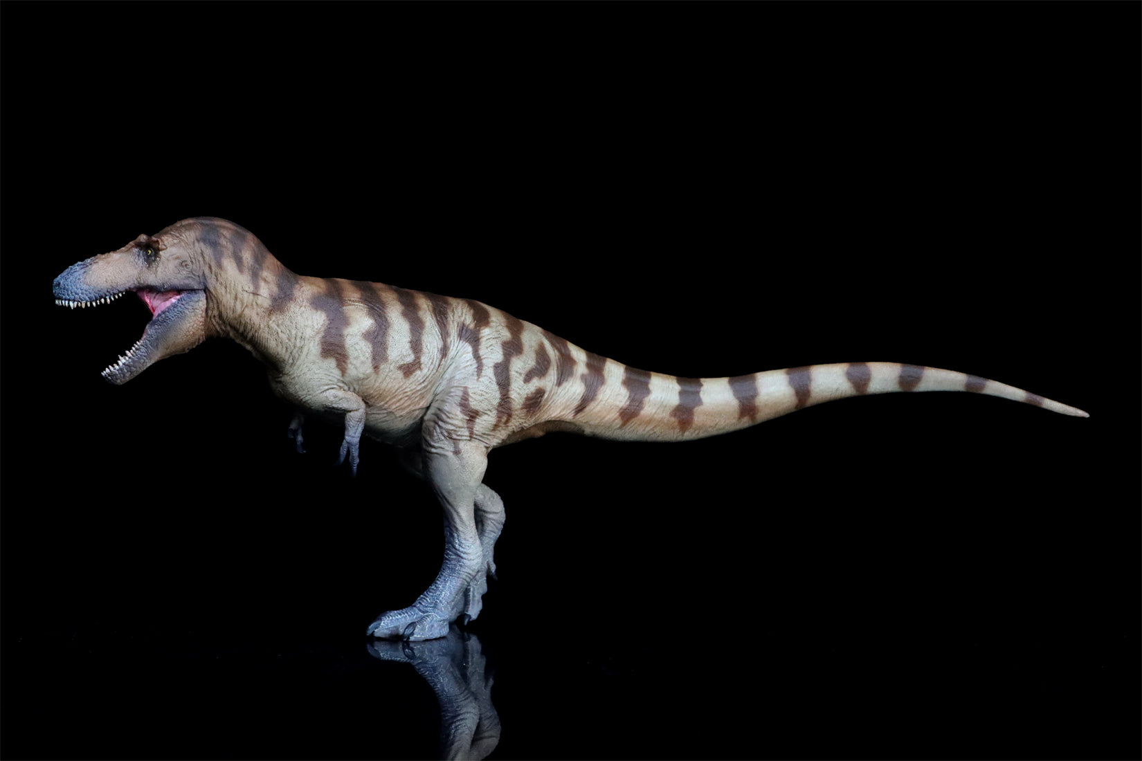 PNSO Daspletosaurus Cole Model