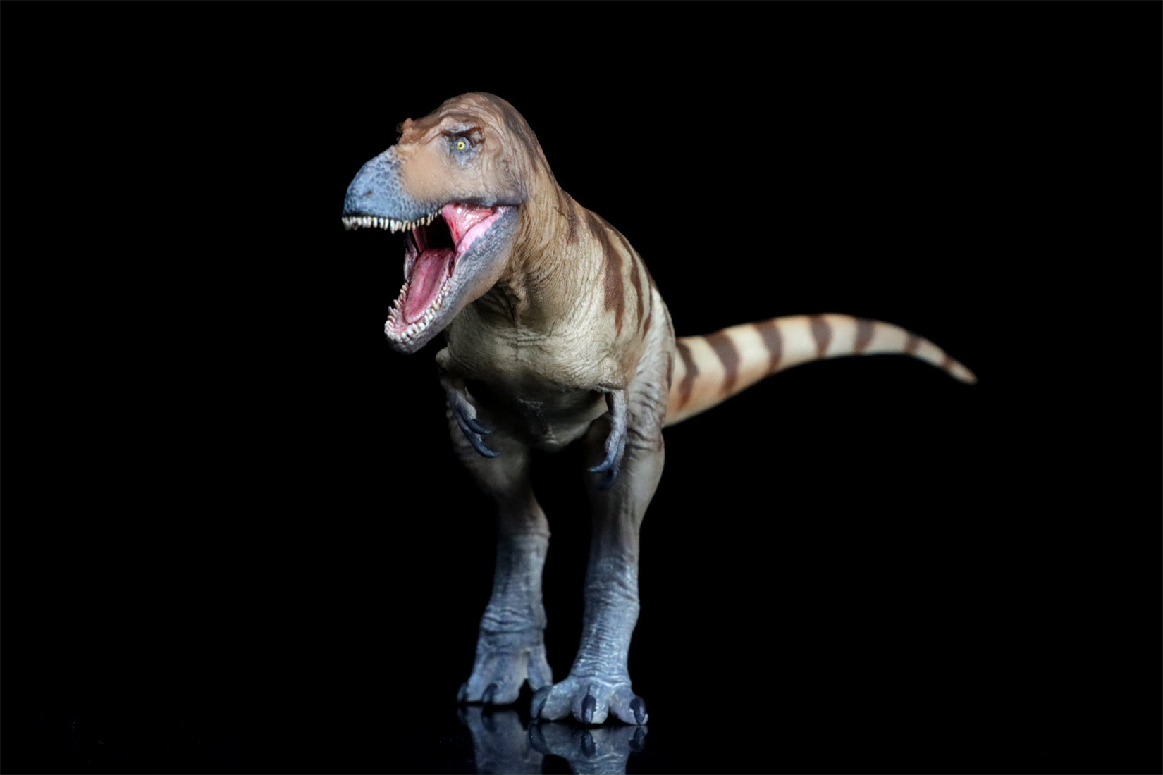 PNSO Daspletosaurus Cole Model