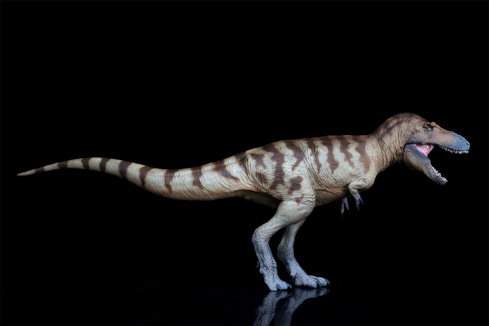 PNSO Daspletosaurus Cole Model