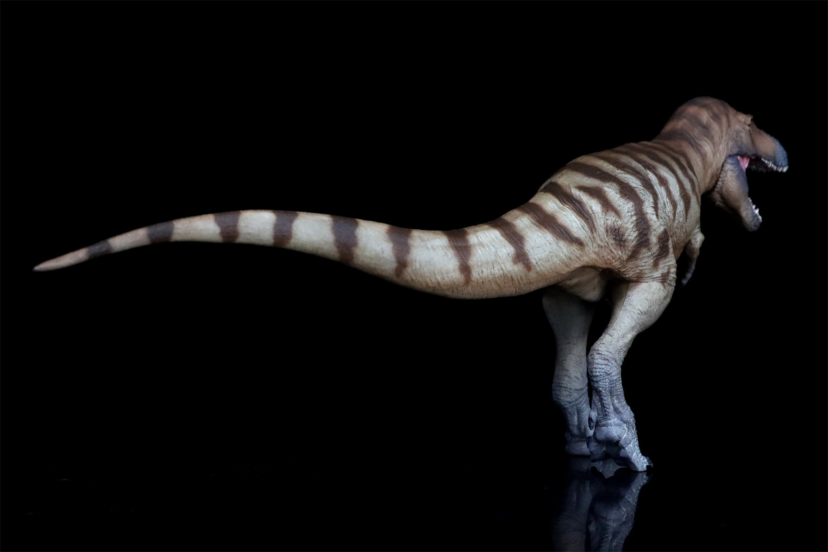PNSO Daspletosaurus Cole Model