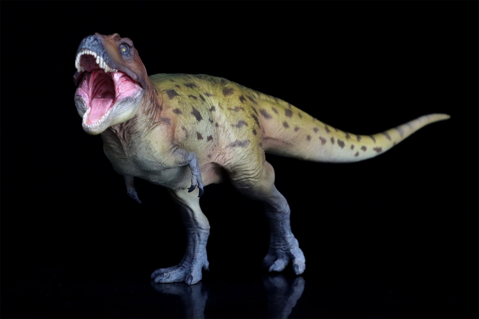 PNSO Lythronax Keynes Model