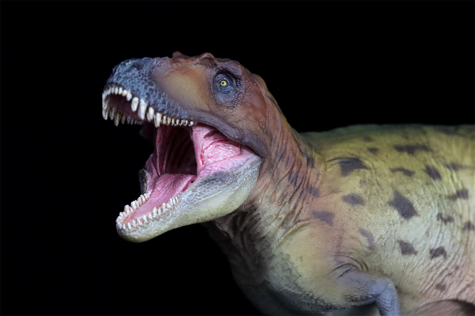 PNSO Lythronax Keynes Model